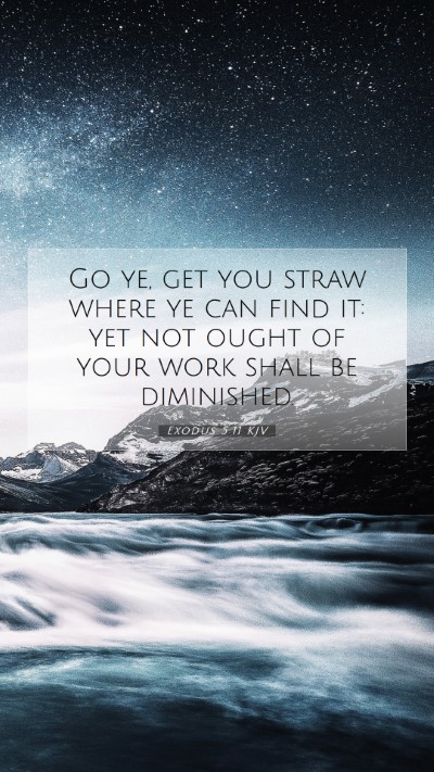 Picture 07 - Exodus 5:11 KJV Mobile Phone Wallpaper - Go ye, get you straw where ye can find it: yet - Mobile Bible Verse Wallpaper