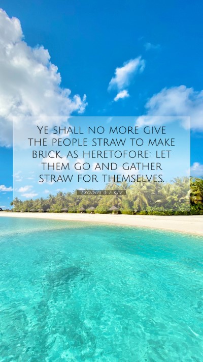 Picture 07 - Exodus 5:7 KJV Mobile Phone Wallpaper - Ye shall no more give the people straw to make - Mobile Bible Verse Wallpaper