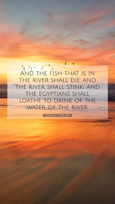 Picture 07 - Exodus 7:18 KJV Mobile Phone Wallpaper - And the fish that is in the river shall die, and - Mobile Bible Verse Wallpaper