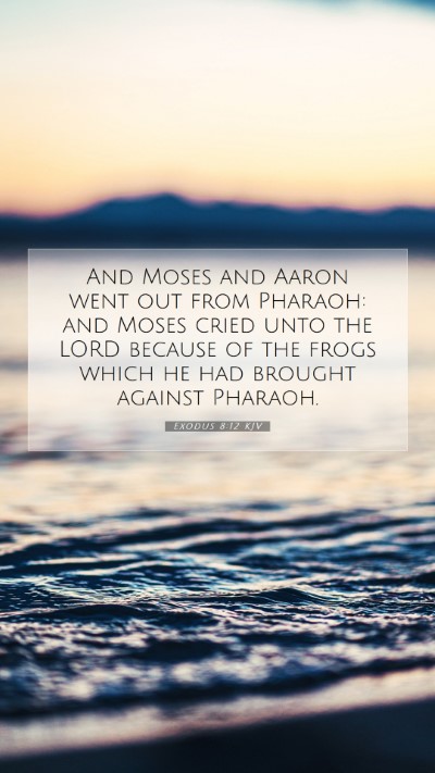 Picture 07 - Exodus 8:12 KJV Mobile Phone Wallpaper - And Moses and Aaron went out from Pharaoh: and - Mobile Bible Verse Wallpaper