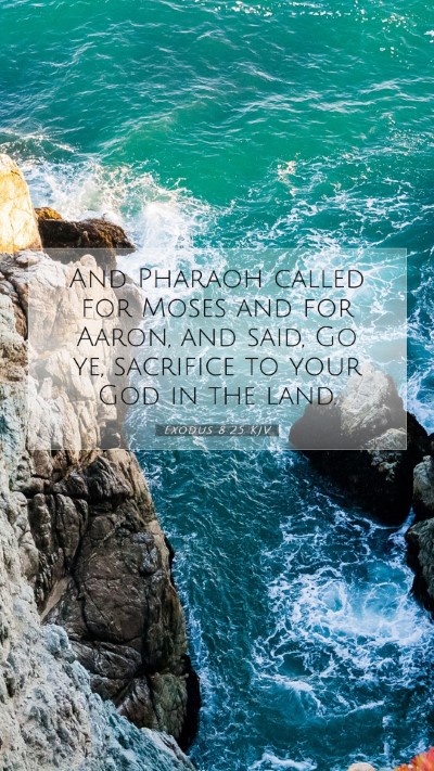 Picture 07 - Exodus 8:25 KJV Mobile Phone Wallpaper - And Pharaoh called for Moses and for Aaron, and - Mobile Bible Verse Wallpaper