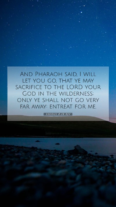 Picture 07 - Exodus 8:28 KJV Mobile Phone Wallpaper - And Pharaoh said, I will let you go, that ye may - Mobile Bible Verse Wallpaper