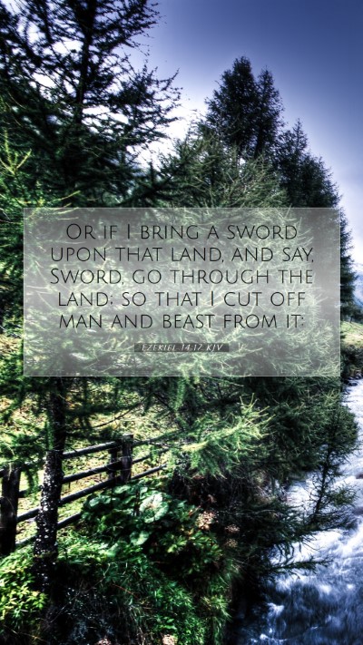 Picture 07 - Ezekiel 14:17 KJV Mobile Phone Wallpaper - Or if I bring a sword upon that land, and say, - Mobile Bible Verse Wallpaper