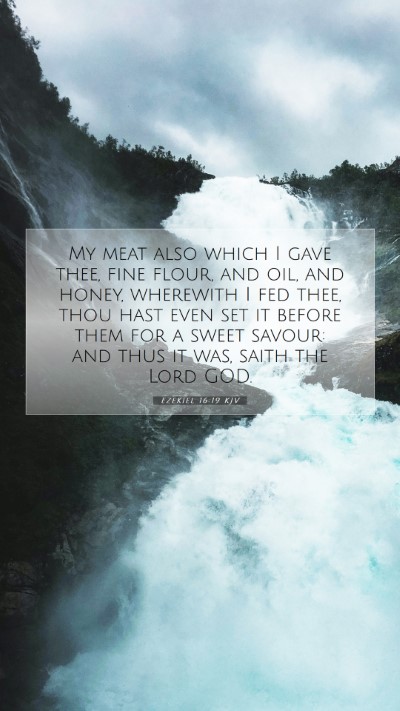 Picture 07 - Ezekiel 16:19 KJV Mobile Phone Wallpaper - My meat also which I gave thee, fine flour, and - Mobile Bible Verse Wallpaper