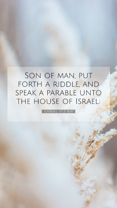 Picture 07 - Ezekiel 17:2 KJV Mobile Phone Wallpaper - Son of man, put forth a riddle, and speak a - Mobile Bible Verse Wallpaper