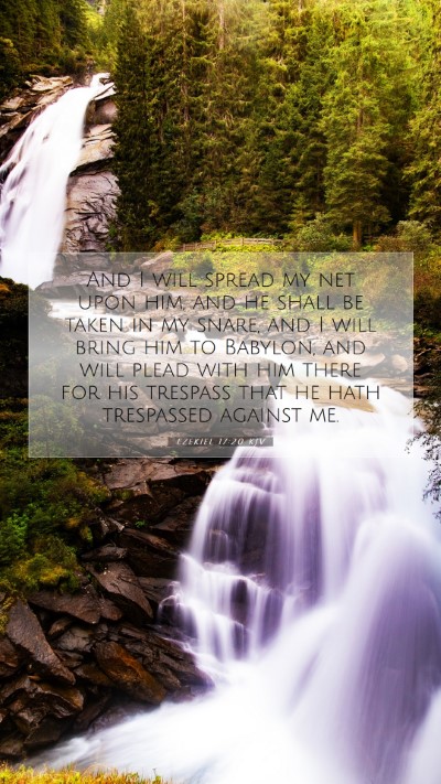 Picture 07 - Ezekiel 17:20 KJV Mobile Phone Wallpaper - And I will spread my net upon him, and he shall - Mobile Bible Verse Wallpaper