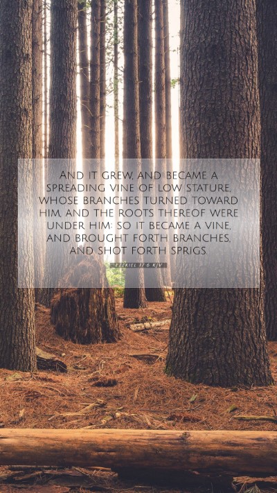 Picture 07 - Ezekiel 17:6 KJV Mobile Phone Wallpaper - And it grew, and became a spreading vine of low - Mobile Bible Verse Wallpaper