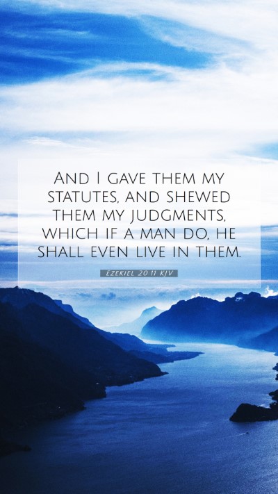 Picture 07 - Ezekiel 20:11 KJV Mobile Phone Wallpaper - And I gave them my statutes, and shewed them my - Mobile Bible Verse Wallpaper