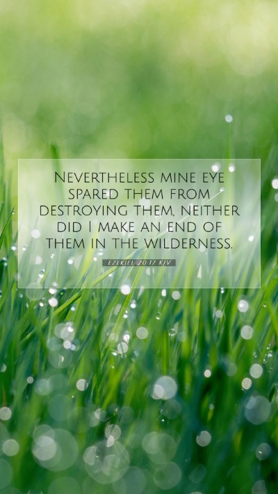 Picture 07 - Ezekiel 20:17 KJV Mobile Phone Wallpaper - Nevertheless mine eye spared them from destroying - Mobile Bible Verse Wallpaper