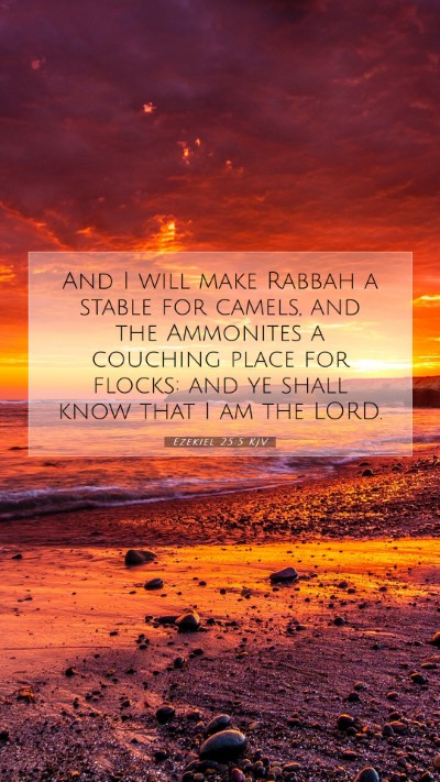 Picture 07 - Ezekiel 25:5 KJV Mobile Phone Wallpaper - And I will make Rabbah a stable for camels, and - Mobile Bible Verse Wallpaper