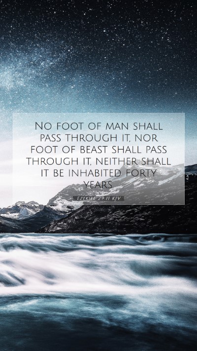 Picture 07 - Ezekiel 29:11 KJV Mobile Phone Wallpaper - No foot of man shall pass through it, nor foot of - Mobile Bible Verse Wallpaper