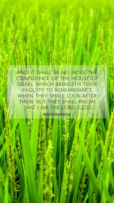 Picture 07 - Ezekiel 29:16 KJV Mobile Phone Wallpaper - And it shall be no more the confidence of the - Mobile Bible Verse Wallpaper