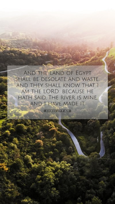 Picture 07 - Ezekiel 29:9 KJV Mobile Phone Wallpaper - And the land of Egypt shall be desolate and - Mobile Bible Verse Wallpaper