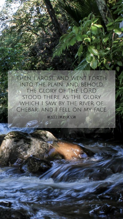 Picture 07 - Ezekiel 3:23 KJV Mobile Phone Wallpaper - Then I arose, and went forth into the plain: and, - Mobile Bible Verse Wallpaper