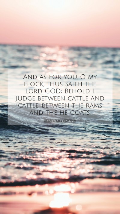 Picture 07 - Ezekiel 34:17 KJV Mobile Phone Wallpaper - And as for you, O my flock, thus saith the Lord - Mobile Bible Verse Wallpaper