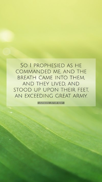 Picture 07 - Ezekiel 37:10 KJV Mobile Phone Wallpaper - So I prophesied as he commanded me, and the - Mobile Bible Verse Wallpaper