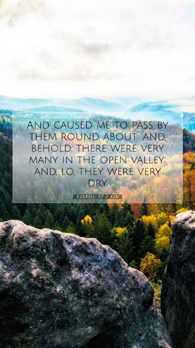 Picture 07 - Ezekiel 37:2 KJV Mobile Phone Wallpaper - And caused me to pass by them round about: and, - Mobile Bible Verse Wallpaper