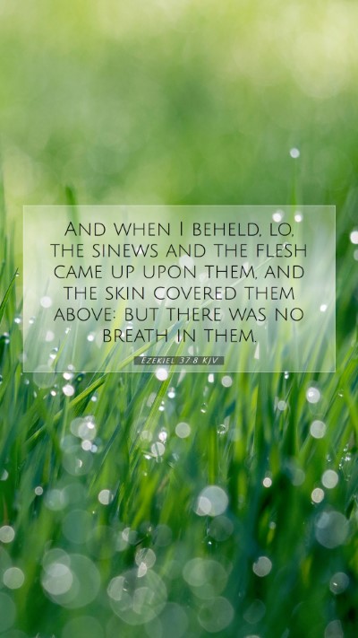 Picture 07 - Ezekiel 37:8 KJV Mobile Phone Wallpaper - And when I beheld, lo, the sinews and the flesh - Mobile Bible Verse Wallpaper