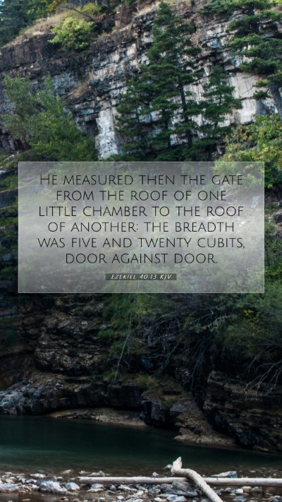 Picture 07 - Ezekiel 40:13 KJV Mobile Phone Wallpaper - He measured then the gate from the roof of one - Mobile Bible Verse Wallpaper