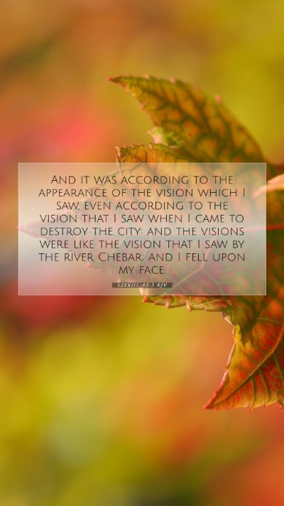 Picture 07 - Ezekiel 43:3 KJV Mobile Phone Wallpaper - And it was according to the appearance of the - Mobile Bible Verse Wallpaper