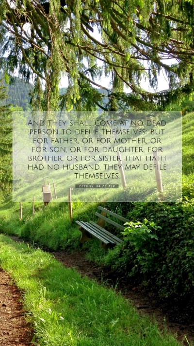 Picture 07 - Ezekiel 44:25 KJV Mobile Phone Wallpaper - And they shall come at no dead person to defile - Mobile Bible Verse Wallpaper