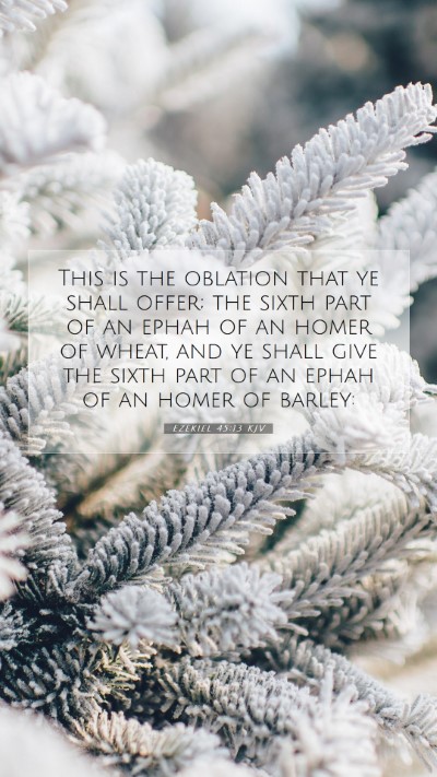 Picture 07 - Ezekiel 45:13 KJV Mobile Phone Wallpaper - This is the oblation that ye shall offer; the - Mobile Bible Verse Wallpaper