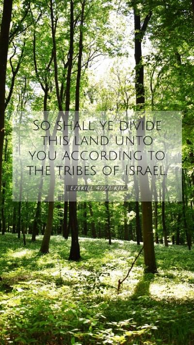 Picture 07 - Ezekiel 47:21 KJV Mobile Phone Wallpaper - So shall ye divide this land unto you according - Mobile Bible Verse Wallpaper