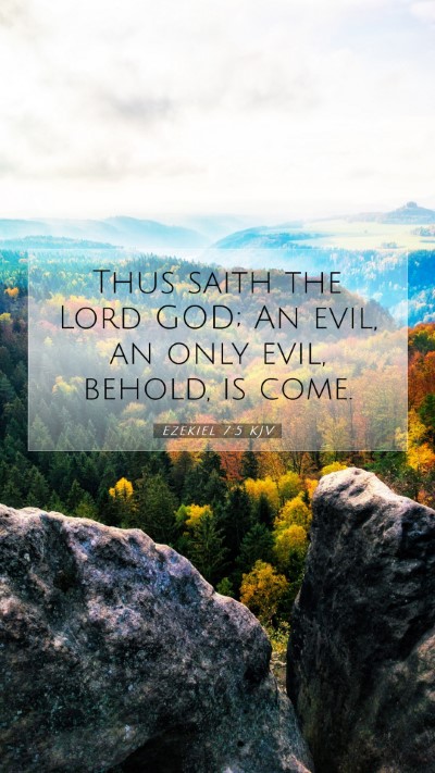 Picture 07 - Ezekiel 7:5 KJV Mobile Phone Wallpaper - Thus saith the Lord GOD; An evil, an only evil, - Mobile Bible Verse Wallpaper