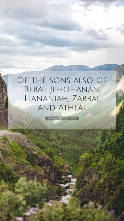 Picture 07 - Ezra 10:28 KJV Mobile Phone Wallpaper - Of the sons also of Bebai; Jehohanan, Hananiah, - Mobile Bible Verse Wallpaper