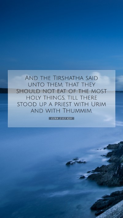 Picture 07 - Ezra 2:63 KJV Mobile Phone Wallpaper - And the Tirshatha said unto them, that they - Mobile Bible Verse Wallpaper