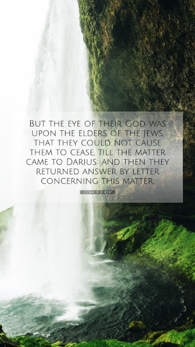 Picture 07 - Ezra 5:5 KJV Mobile Phone Wallpaper - But the eye of their God was upon the elders of - Mobile Bible Verse Wallpaper