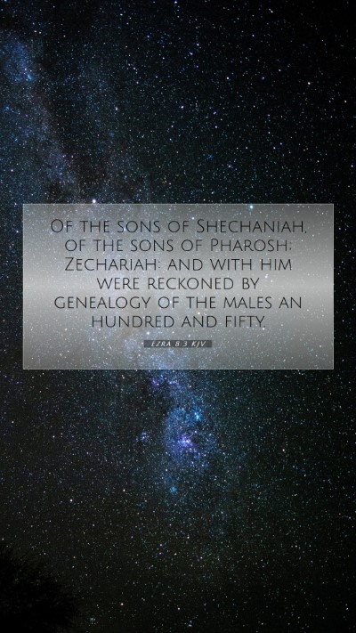 Picture 07 - Ezra 8:3 KJV Mobile Phone Wallpaper - Of the sons of Shechaniah, of the sons of - Mobile Bible Verse Wallpaper