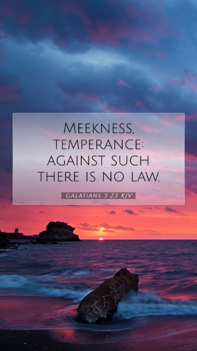 Picture 07 - Galatians 5:23 KJV Mobile Phone Wallpaper - Meekness, temperance: against such there is no - Mobile Bible Verse Wallpaper