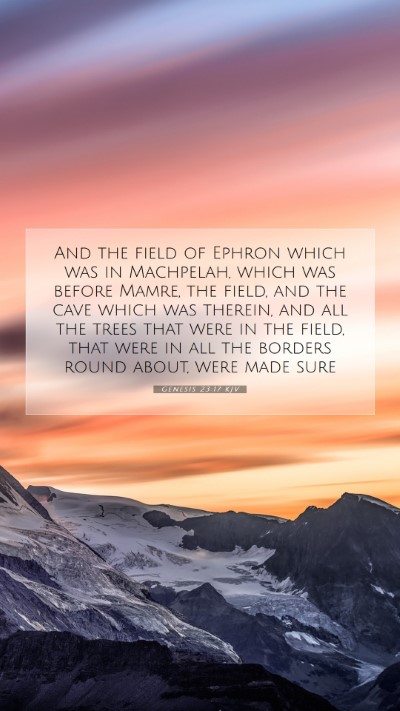 Picture 07 - Genesis 23:17 KJV Mobile Phone Wallpaper - And the field of Ephron which was in Machpelah, - Mobile Bible Verse Wallpaper