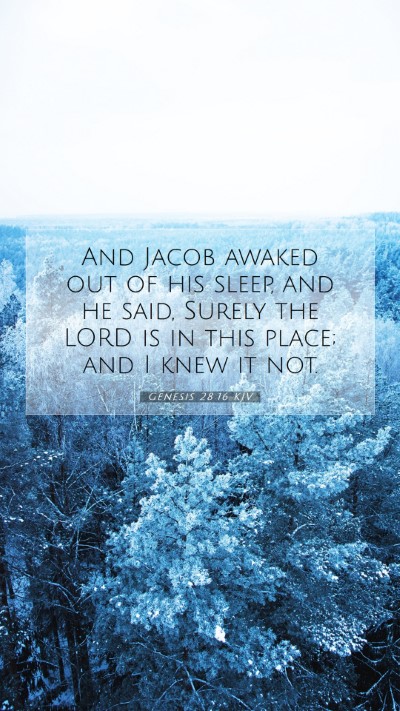 Picture 07 - Genesis 28:16 KJV Mobile Phone Wallpaper - And Jacob awaked out of his sleep, and he said, - Mobile Bible Verse Wallpaper