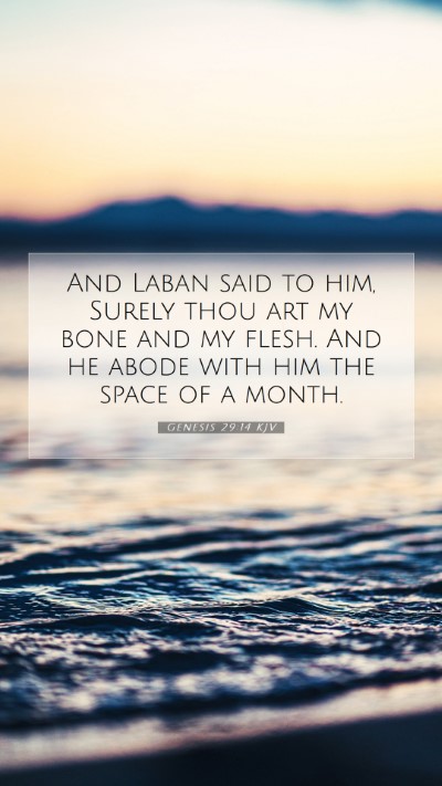 Picture 07 - Genesis 29:14 KJV Mobile Phone Wallpaper - And Laban said to him, Surely thou art my bone - Mobile Bible Verse Wallpaper