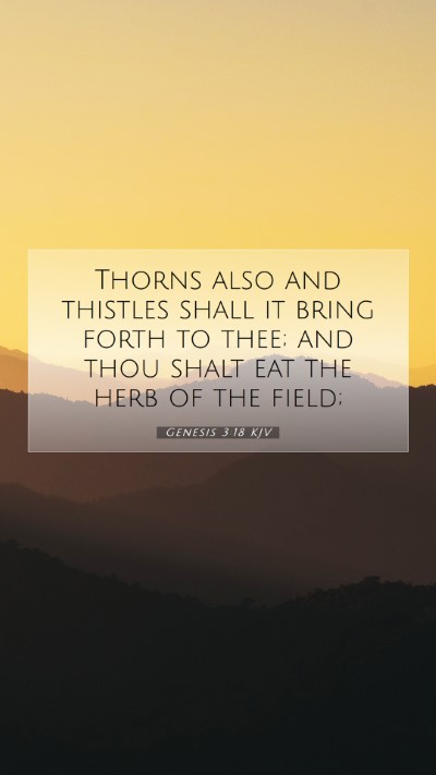 Picture 07 - Genesis 3:18 KJV Mobile Phone Wallpaper - Thorns also and thistles shall it bring forth to - Mobile Bible Verse Wallpaper