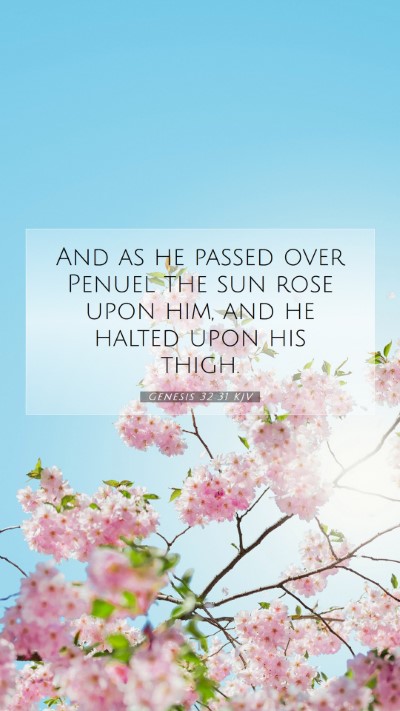 Picture 07 - Genesis 32:31 KJV Mobile Phone Wallpaper - And as he passed over Penuel the sun rose upon - Mobile Bible Verse Wallpaper