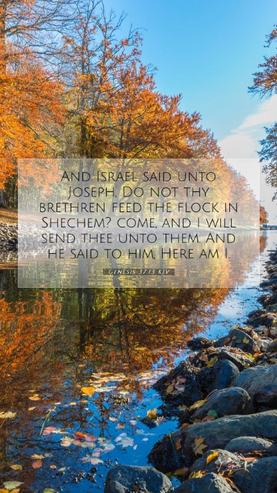 Picture 07 - Genesis 37:13 KJV Mobile Phone Wallpaper - And Israel said unto Joseph, Do not thy brethren - Mobile Bible Verse Wallpaper