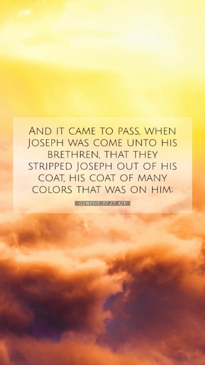 Picture 07 - Genesis 37:23 KJV Mobile Phone Wallpaper - And it came to pass, when Joseph was come unto - Mobile Bible Verse Wallpaper