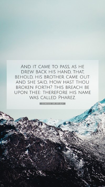 Picture 07 - Genesis 38:29 KJV Mobile Phone Wallpaper - And it came to pass, as he drew back his hand, - Mobile Bible Verse Wallpaper