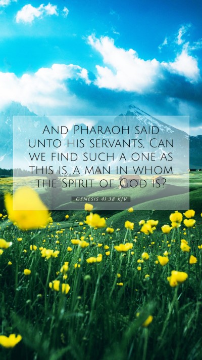 Picture 07 - Genesis 41:38 KJV Mobile Phone Wallpaper - And Pharaoh said unto his servants, Can we find - Mobile Bible Verse Wallpaper