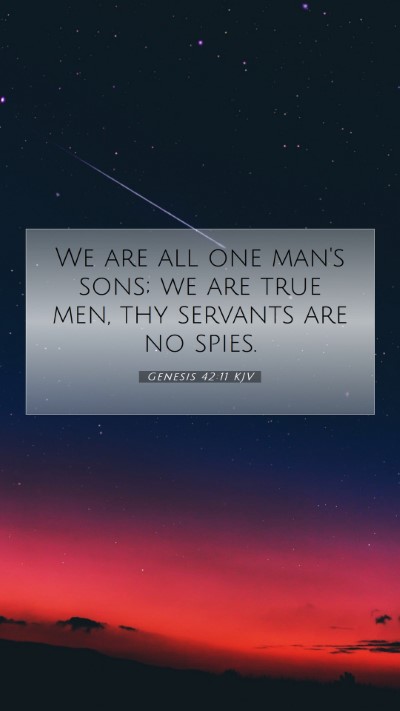 Picture 07 - Genesis 42:11 KJV Mobile Phone Wallpaper - We are all one man's sons; we are true men, thy - Mobile Bible Verse Wallpaper