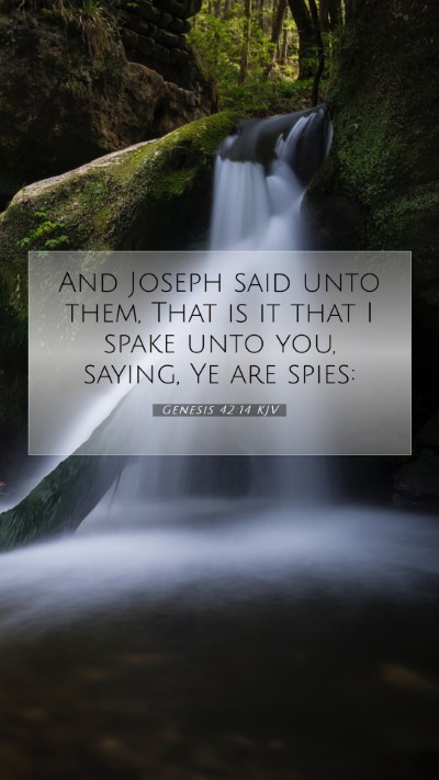 Picture 07 - Genesis 42:14 KJV Mobile Phone Wallpaper - And Joseph said unto them, That is it that I - Mobile Bible Verse Wallpaper