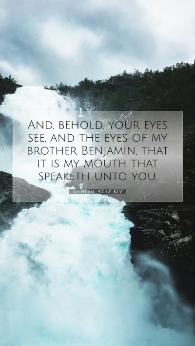 Picture 07 - Genesis 45:12 KJV Mobile Phone Wallpaper - And, behold, your eyes see, and the eyes of my - Mobile Bible Verse Wallpaper