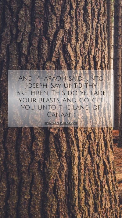 Picture 07 - Genesis 45:17 KJV Mobile Phone Wallpaper - And Pharaoh said unto Joseph, Say unto thy - Mobile Bible Verse Wallpaper
