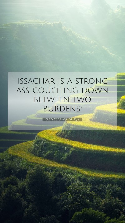 Picture 07 - Genesis 49:14 KJV Mobile Phone Wallpaper - Issachar is a strong ass couching down between - Mobile Bible Verse Wallpaper
