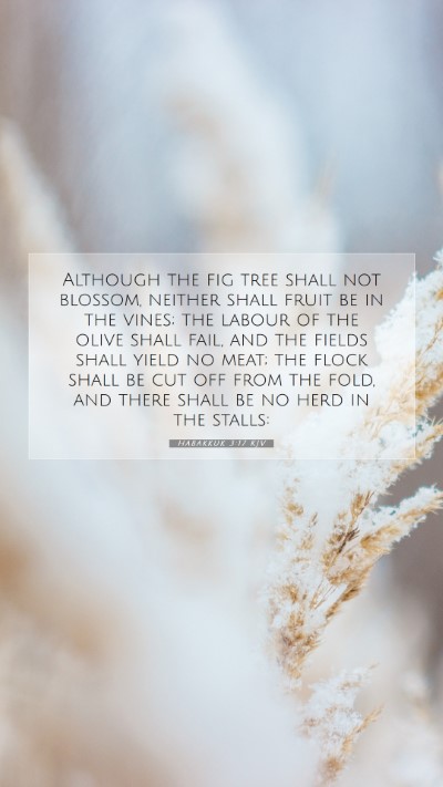 Picture 07 - Habakkuk 3:17 KJV Mobile Phone Wallpaper - Although the fig tree shall not blossom, neither - Mobile Bible Verse Wallpaper