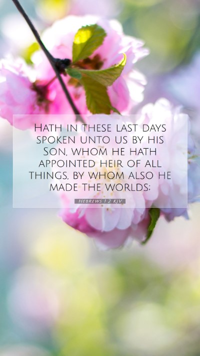 Picture 07 - Hebrews 1:2 KJV Mobile Phone Wallpaper - Hath in these last days spoken unto us by his - Mobile Bible Verse Wallpaper
