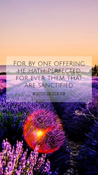 Picture 07 - Hebrews 10:14 KJV Mobile Phone Wallpaper - For by one offering he hath perfected for ever - Mobile Bible Verse Wallpaper
